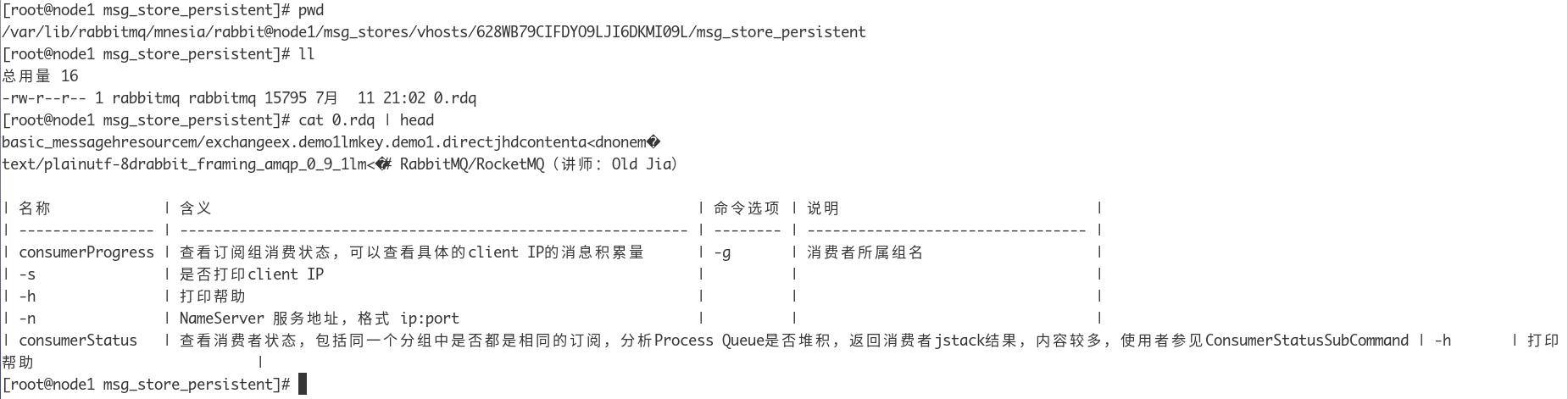 RabbitMQ_Page33_001